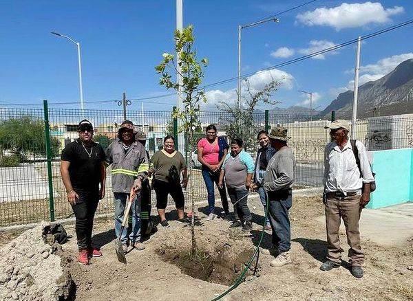 Buscan hacer pulmones verdes en centros escolares
