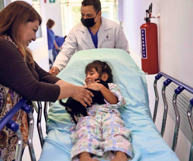 Son perros terapeutas, un apoyo para el alma