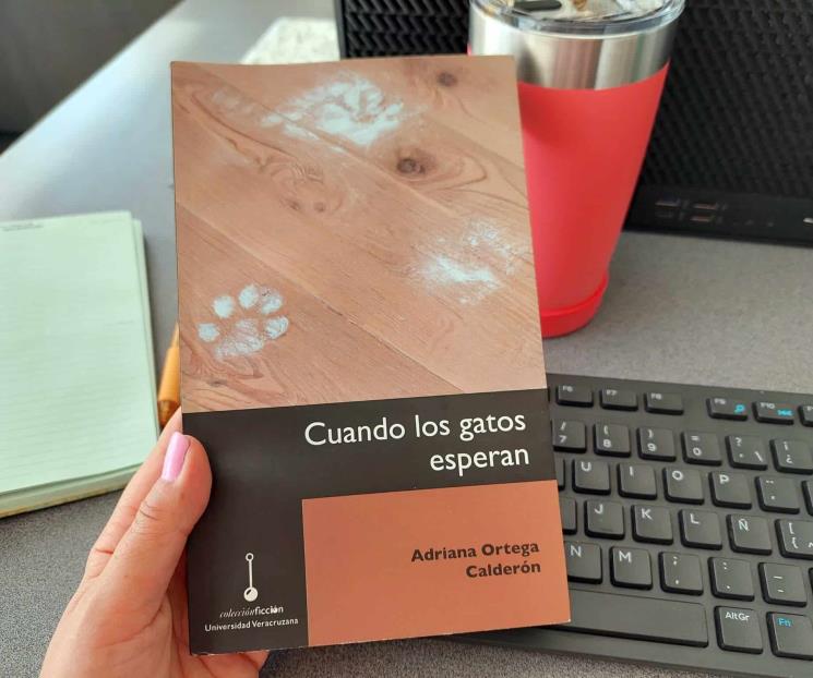 Una primera novela inquietante