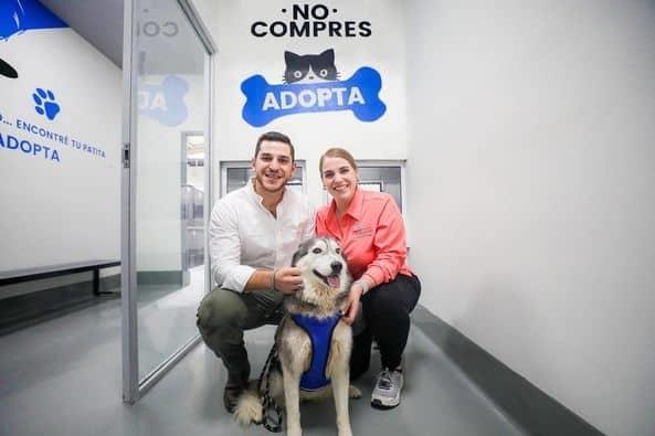 Promueve Pesquería el bienestar animal