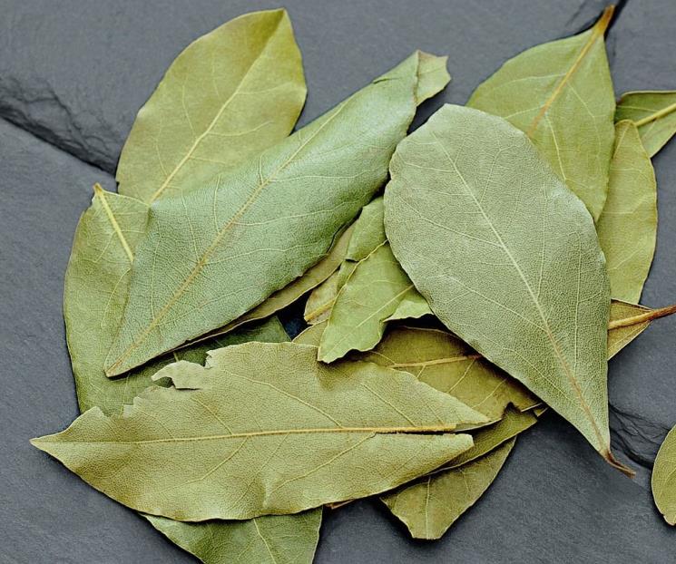 Los otros usos del laurel además de cocinar