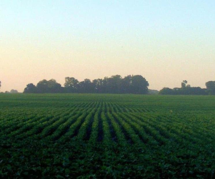 Alertan por subsidios al campo