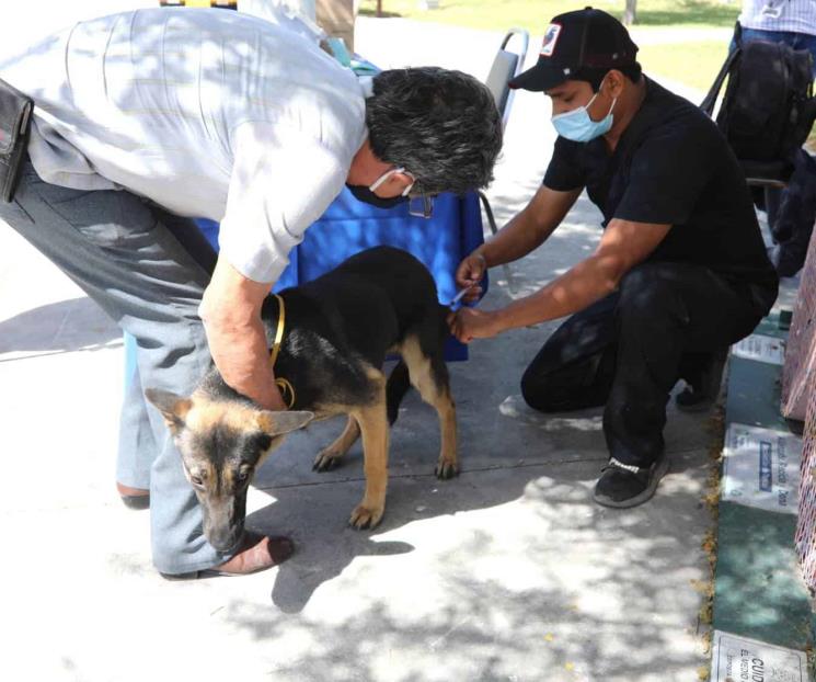 Llevarán la Casa de Bienestar Animal a colonias de SN Llevarán la Casa de Bienestar Animal a colonias de SN
