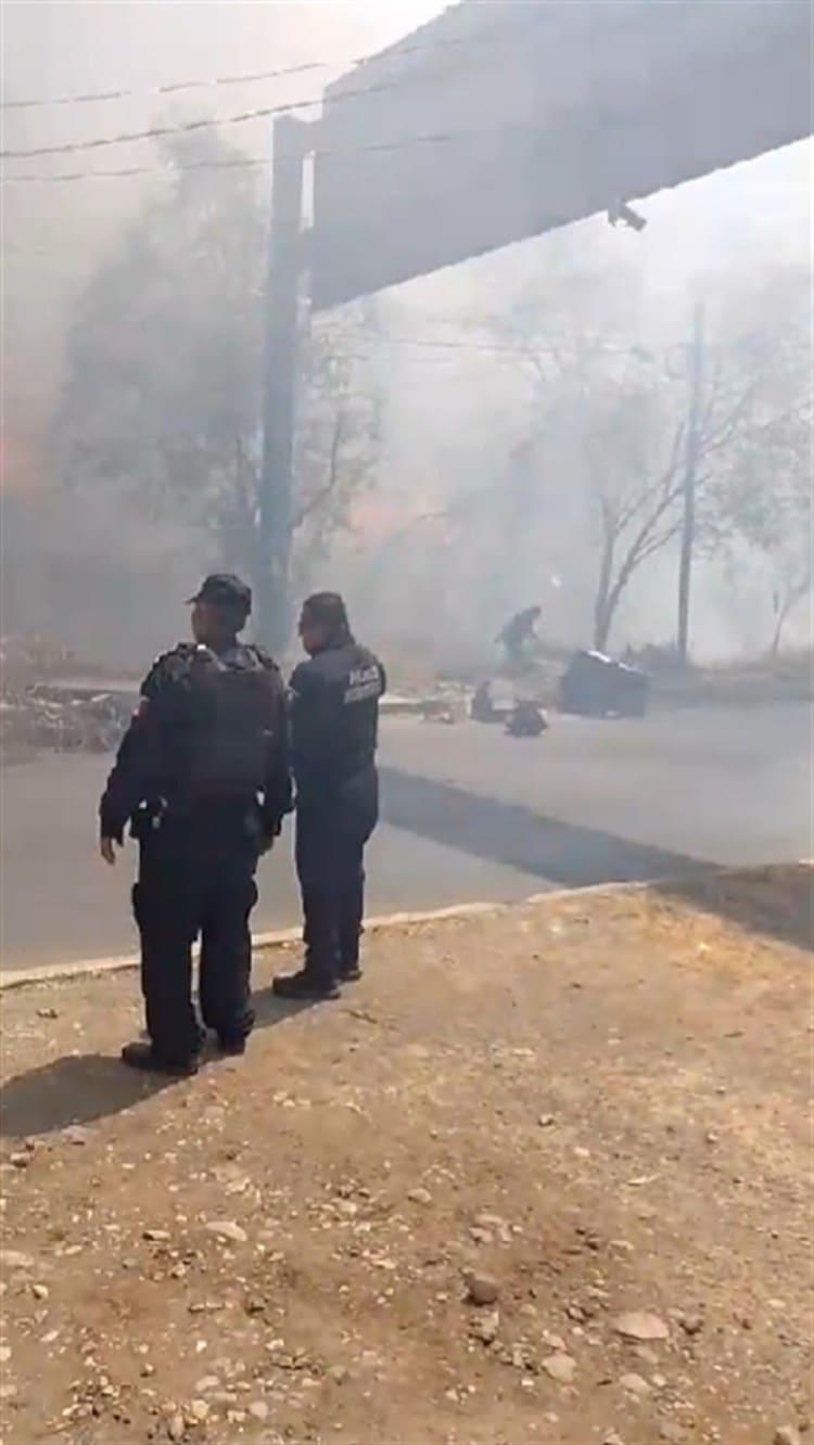 imagen-cuerpo imagen-cuerpo