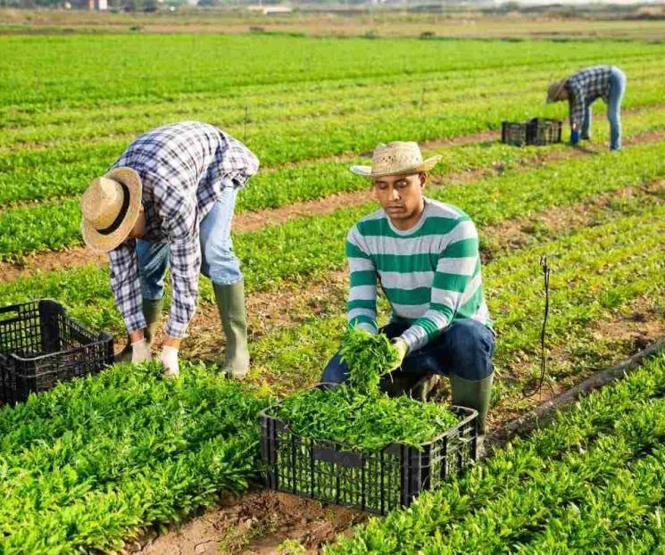 Viven migrantes con temor en Florida