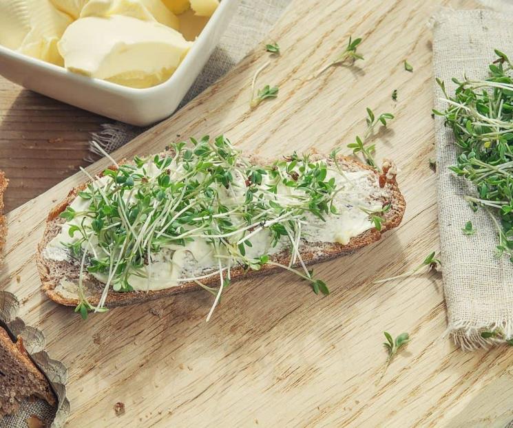 Según un estudio, esta es la verdura más sana del mundo