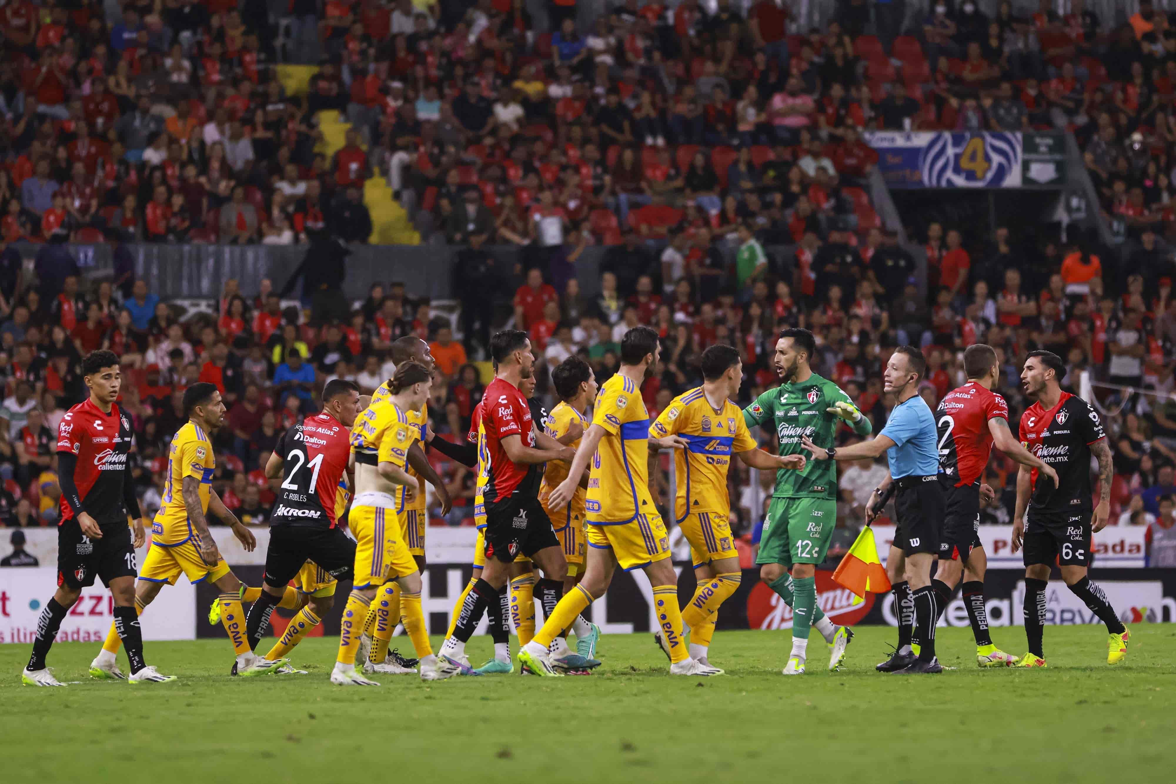 Felinos caen de visita.