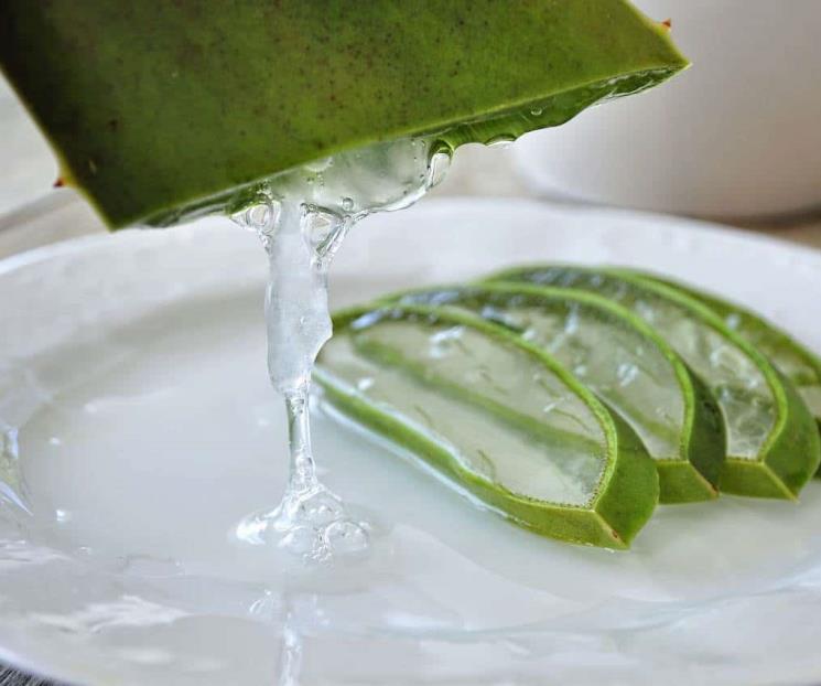 Así se obtiene colágeno natural con aloe vera Así se obtiene colágeno natural con aloe vera