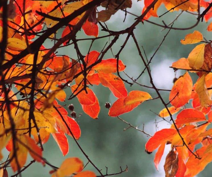 El equinoccio de otoño 2023 y su significado