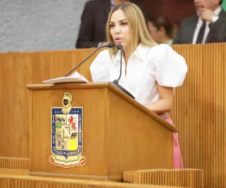 Piden diputados poner un alto a colocación de reductores Piden diputados poner un alto a colocación de reductores
