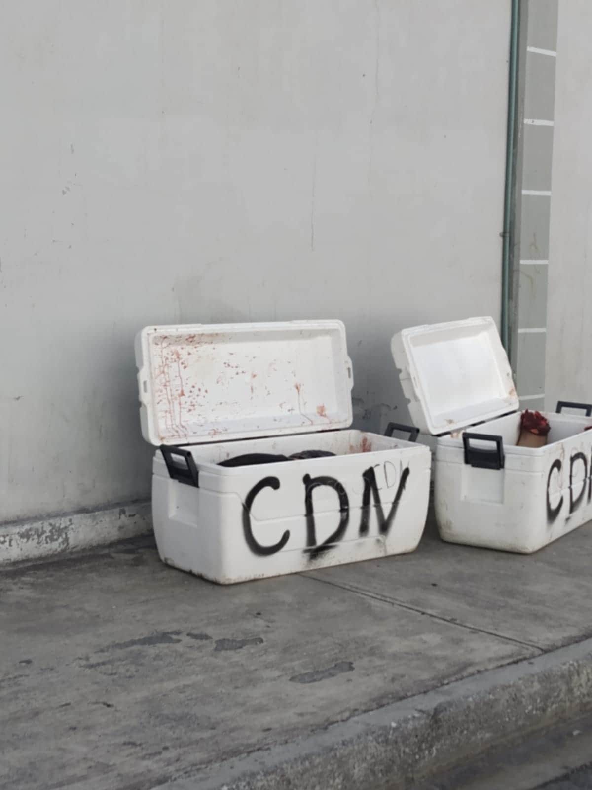 Los restos humanos de dos hombres fueron encontrados en un par de hieleras en el municipio de San Nicolás, ayer a poca distancia del Cedeco.