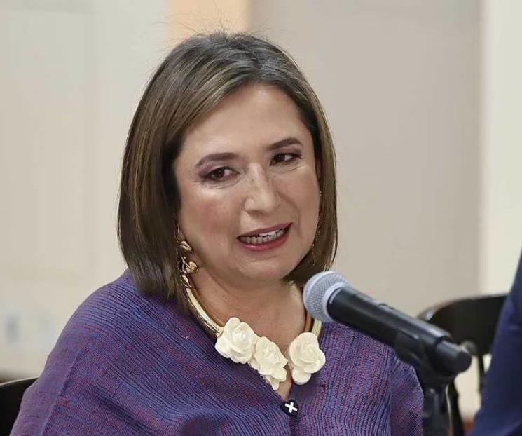 Piden analizar supuesto plagio en tesis de Xóchitl Gálvez