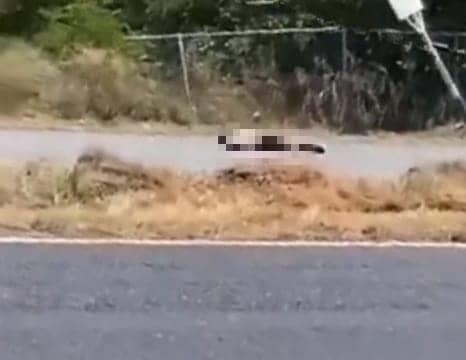 Atropellan a hombre sobre la Carretera Nacional