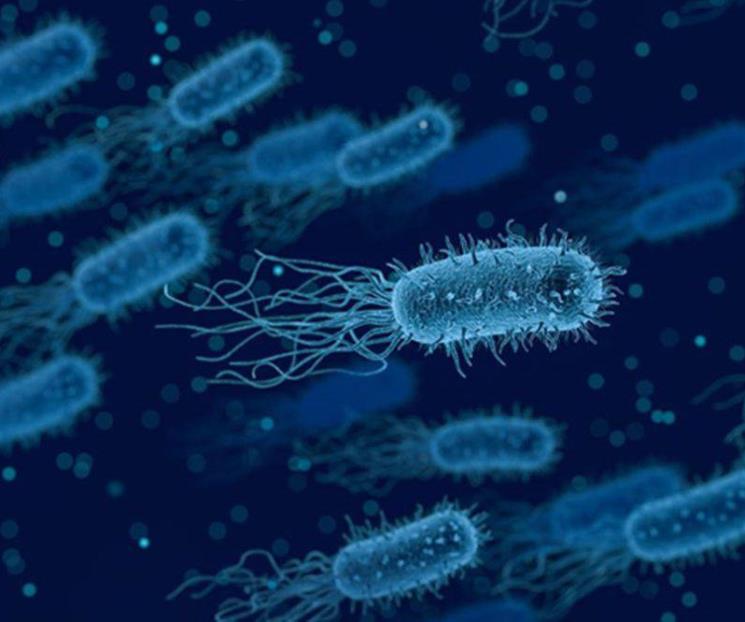 La enfermedad que provoca la bacteria come carne