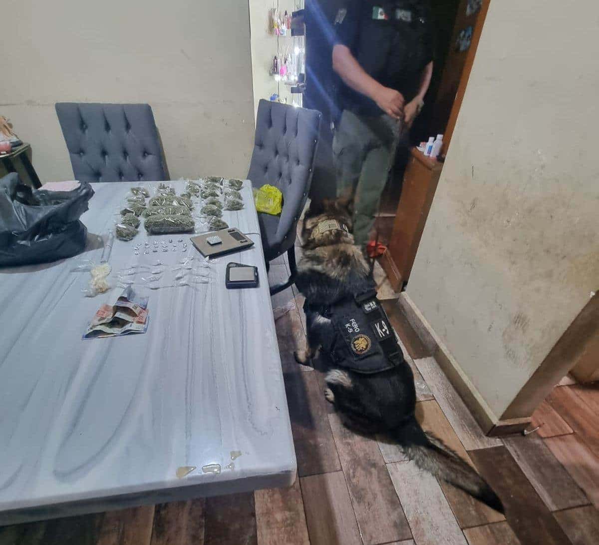En el municipio de Guadalupe, las autoridades llevaron a cabo el cateo a un domicilio ubicado en calle Paseo Bruselas 723, en la Colonia Paseo Amberes.