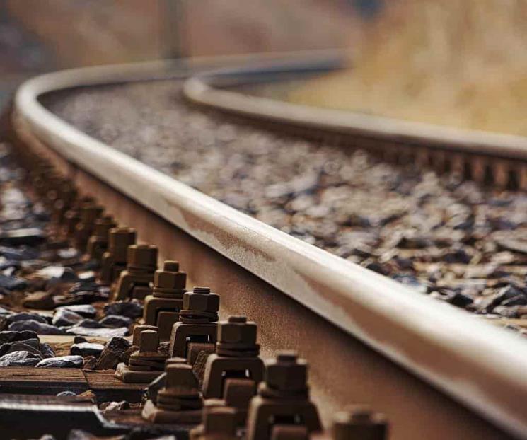 Freno de trenes de Ferromex, sin efecto en la carestía