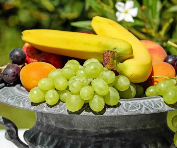 Alimentos que puedes comer para tener un cerebro saludable