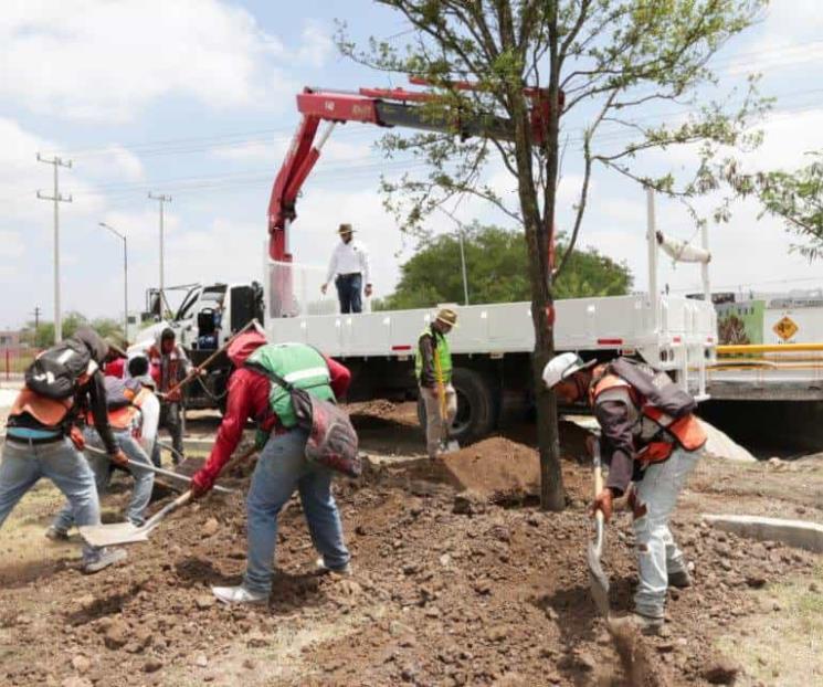 Coadyuva sector privado en reforestación escolar