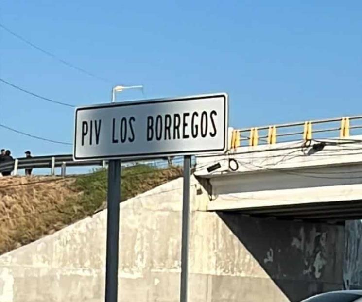 Hallan dos cabezas en hielera