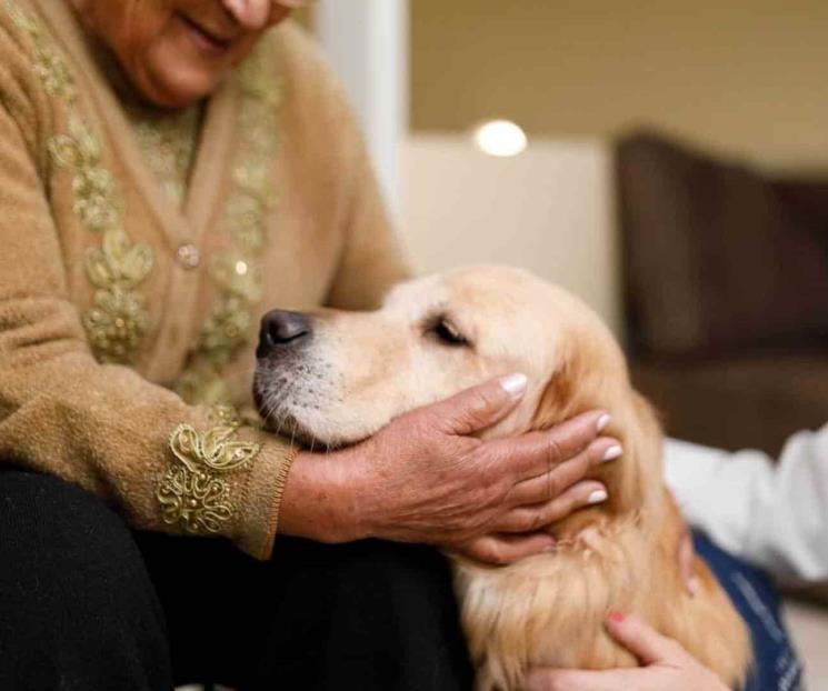 Mejora calidad de vida de pacientes con Alzheimer