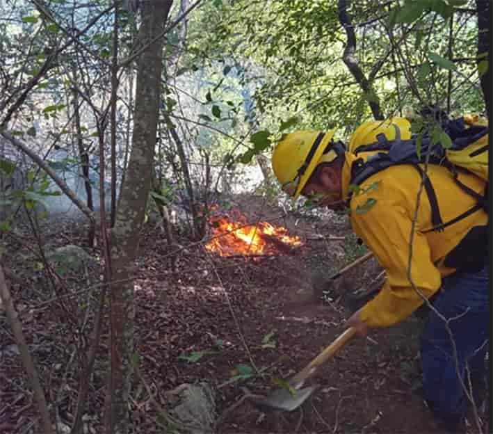 Combaten incendios forestales
