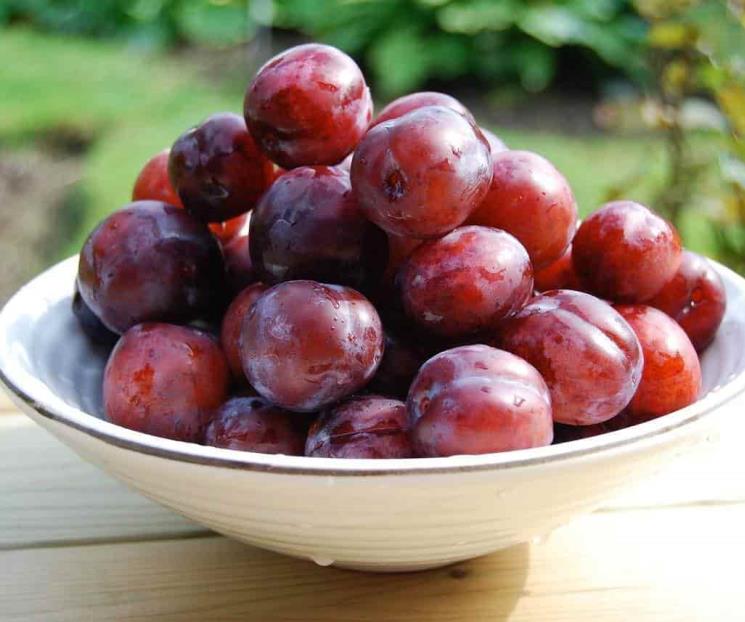 Frutas y verduras de temporada para reforzar sistema inmune