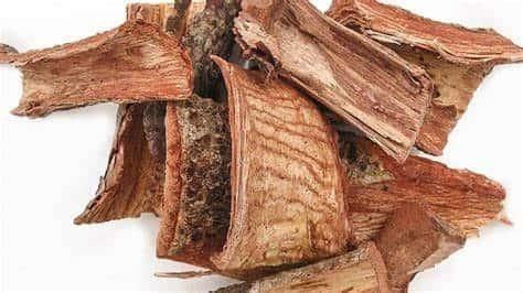 Qué es el cuachalalate y cuándo consumirlo