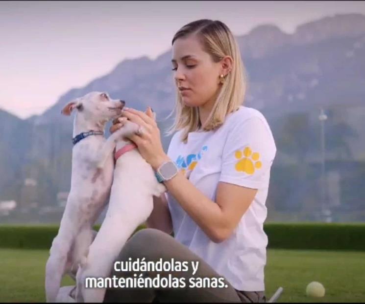 Consentirán a animales de compañía Consentirán a animales de compañía