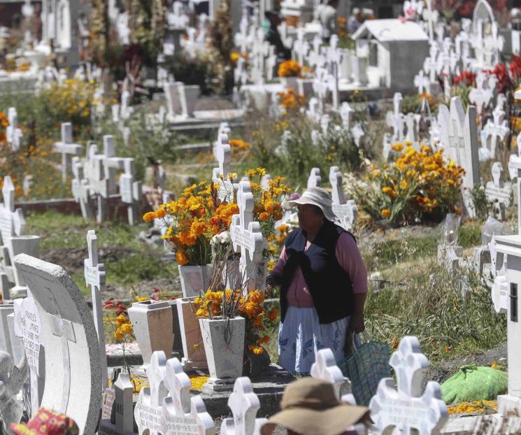 Cempasúchil: símbolo de la llegada de los seres amados