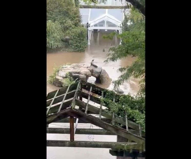 Se desata el caos en Nueva York tras fuertes lluvias