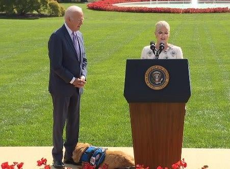 Aplaude Selma Blair ley histórica sobre discapacidad Aplaude Selma Blair ley histórica sobre discapacidad