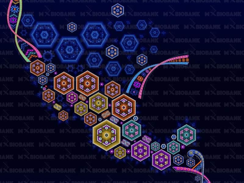 Desarrolla el ENAH primera base de datos genómicos
