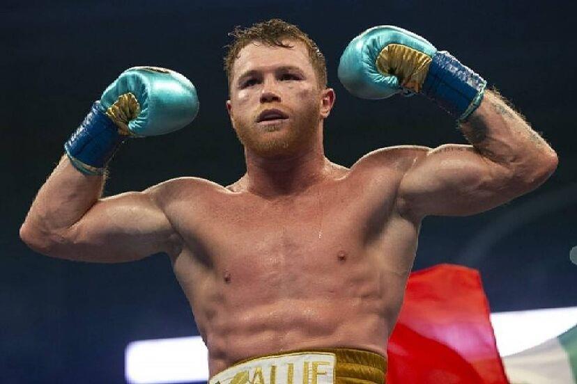 Canelo, boxeador regular