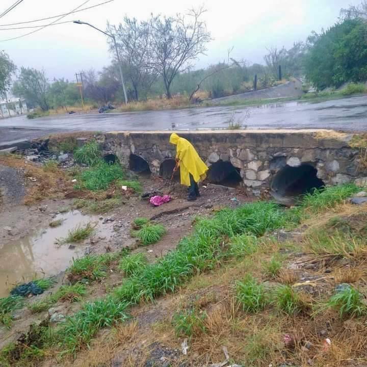 Trabajan por un García verde