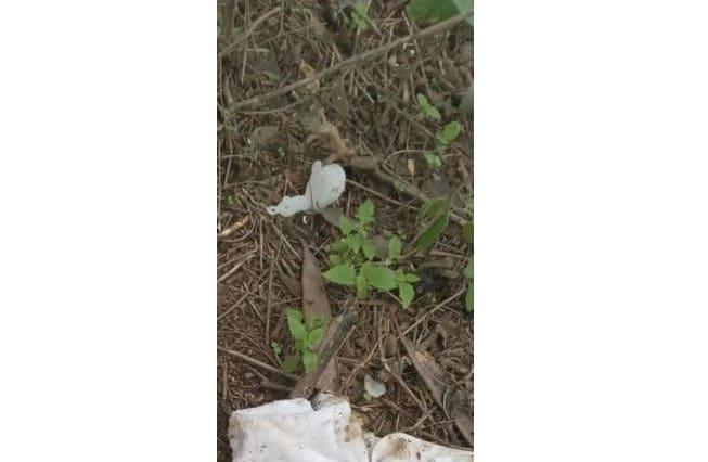 Encuentran dos cráneos en Allende