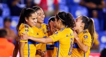 Reaparecen hoy las Tigres