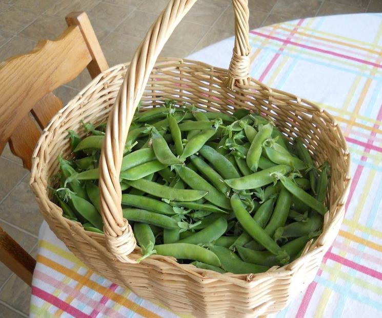 Día Mundial de la Alimentación