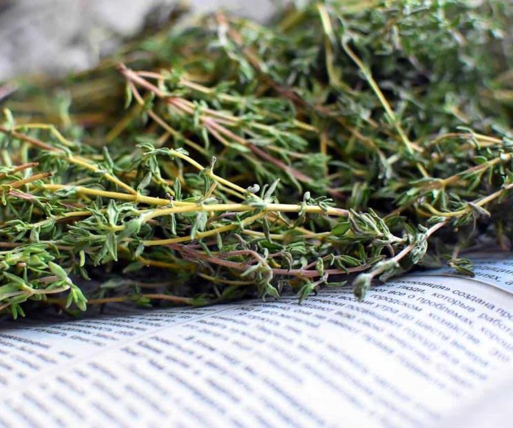 Infusión natural para combatir el asma