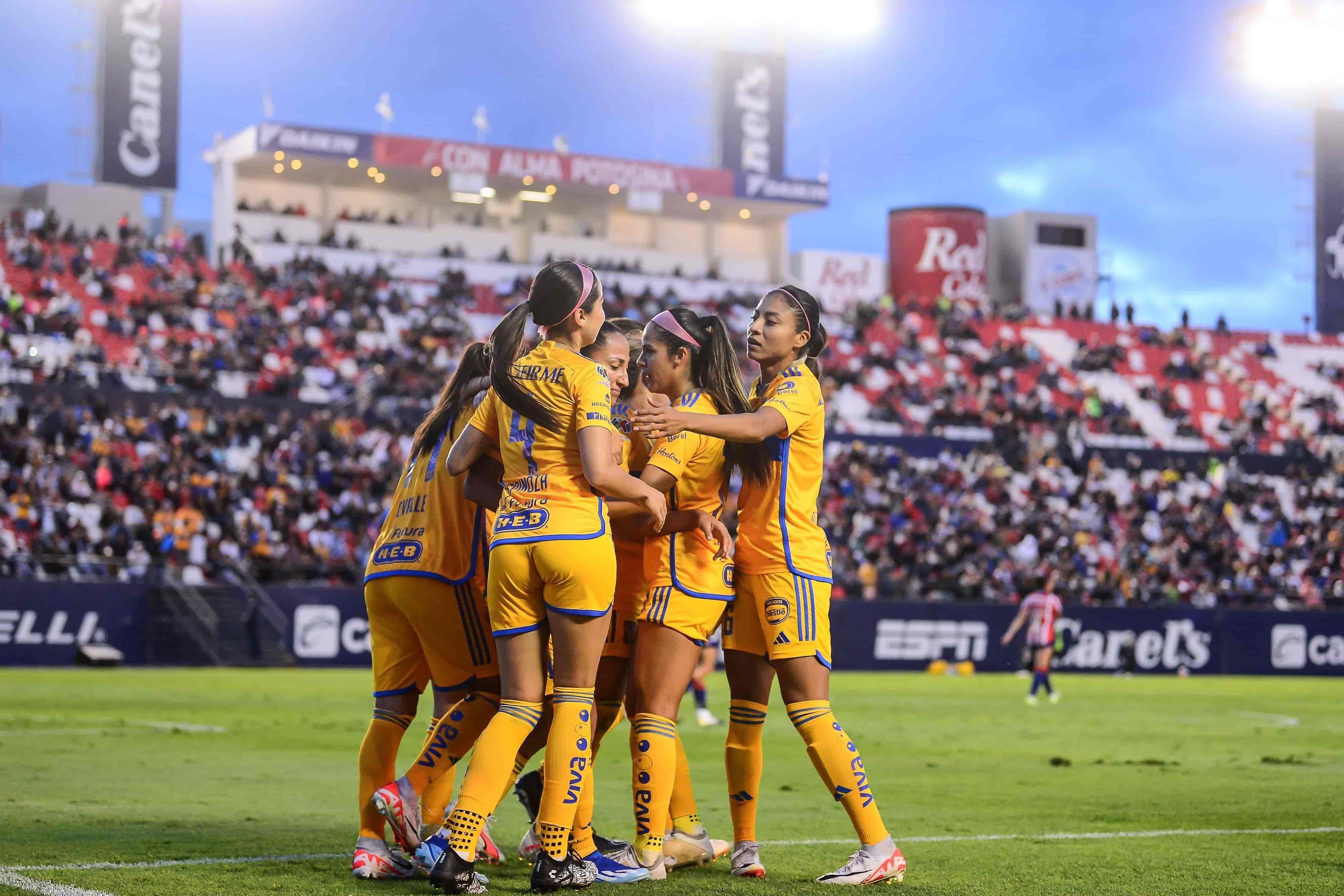 Felinas ganan de visita.
