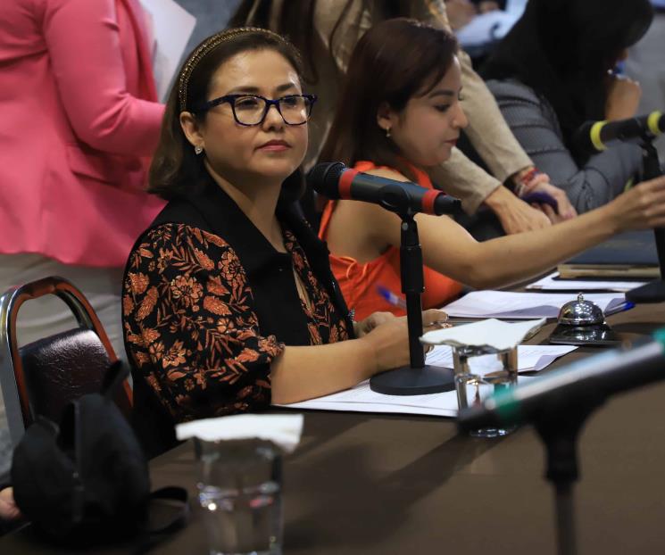 Aprueban convocatoria para elegir nuevo auditor