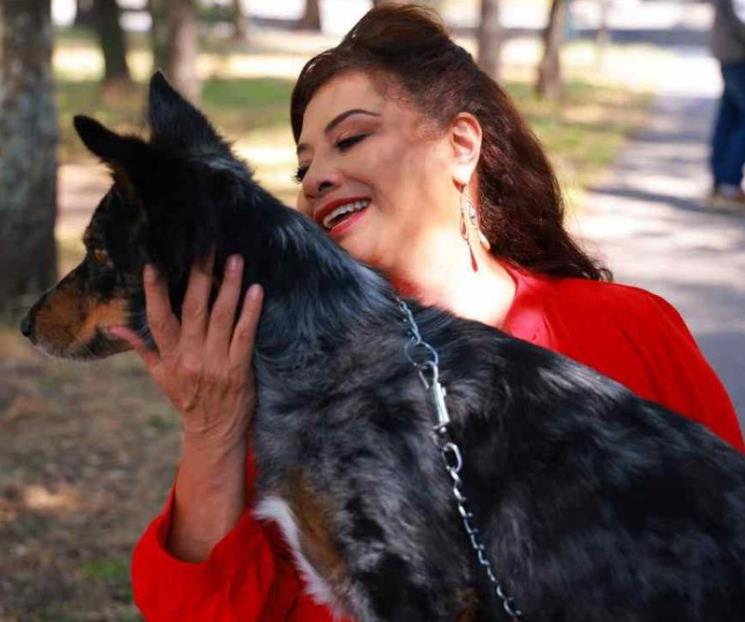Brugada propone agenda de derechos animales