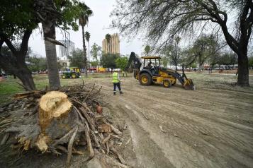 Retiran primeros 46 &aacute;rboles en decadencia de La Alameda