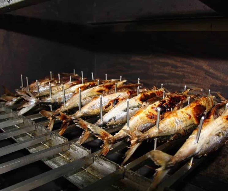 Descubre el mejor pescado colmado en Omega-3 Descubre el mejor pescado colmado en Omega-3
