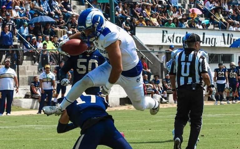 Borregos califican a los playoffs Borregos califican a los playoffs