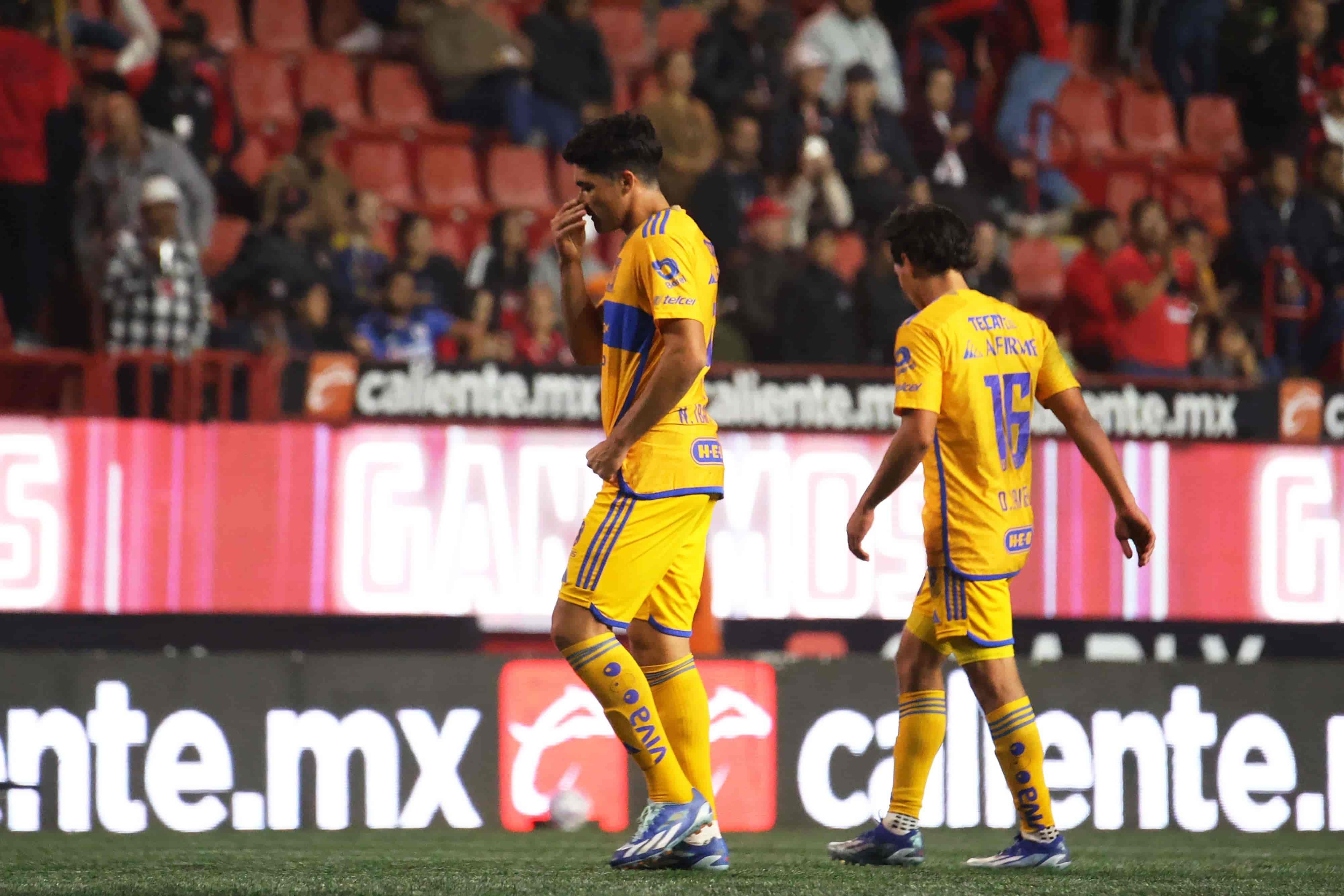 Felinos caen en la perrera tras 11 años de no hacerlo.