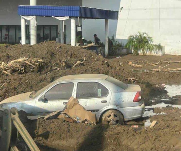 Autos con seguro contra robo quedarán cubiertos