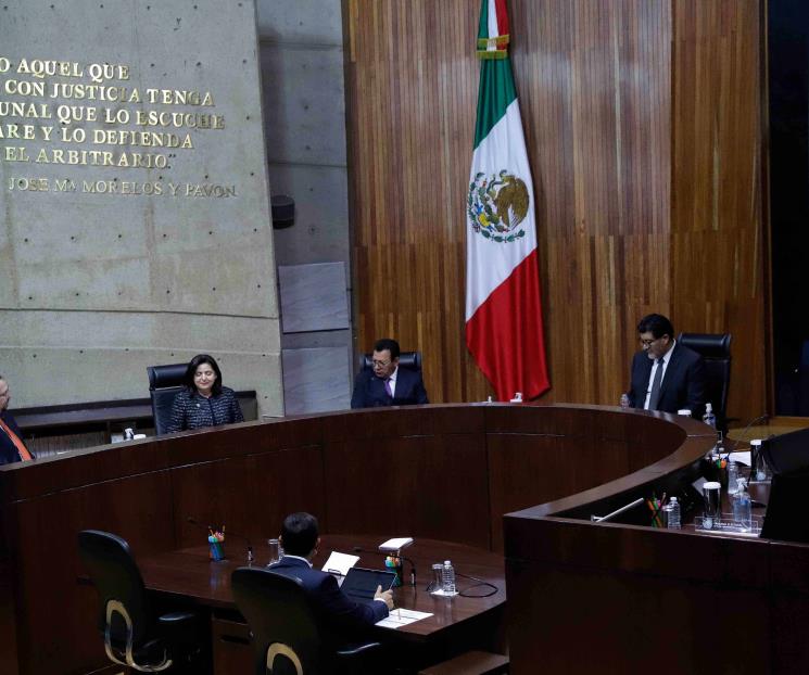 Advierte TEPJF afectaciones serias por recorte