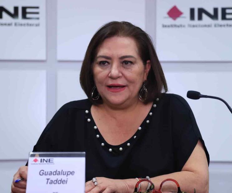 Taddei: ‘Recorte al INE no afectará elecciones’