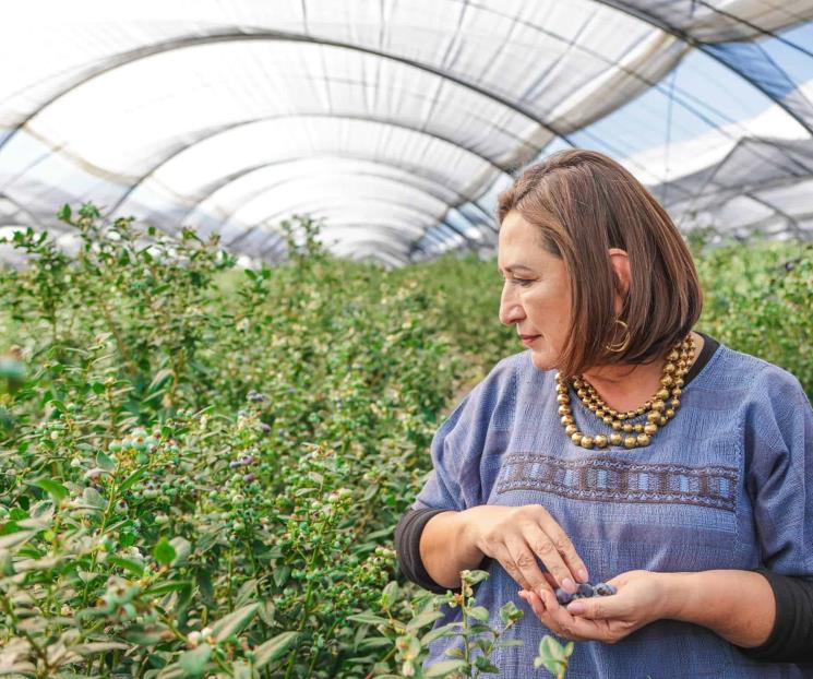 Ya envié a la UNAM lo que solicitó, no era grave: Xóchitl Ya envié a la UNAM lo que solicitó, no era grave: Xóchitl