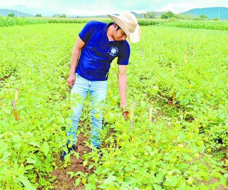 Inflación y bajo ingreso aumentarán la pobreza del campo